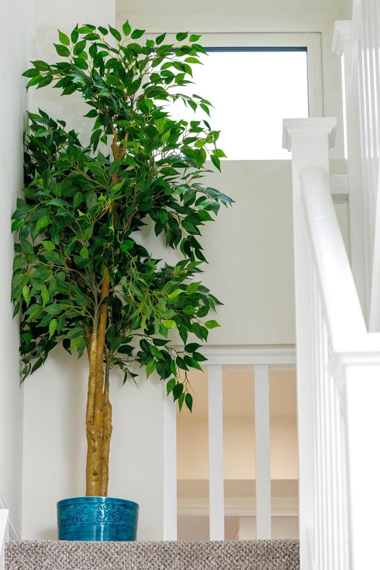 Sandbury Town House Kilkenny Exterior photo
